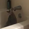 itsrjxammy_