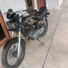 rexking264