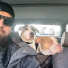 dobbythestafflearis87