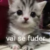 lelblzxx
