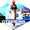 n1.qyarbing