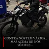 bieelzin.011s