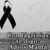 jaimealejandromar082