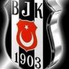 06karakartalim1903