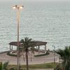fathy__y