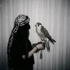 susu.xanm34