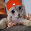 calebtakesphotos
