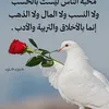 ❤️❤️❤️Ayour❤️❤️❤️