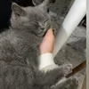 user___035x