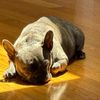 nyle_gh