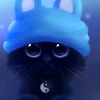 teo_gatit0