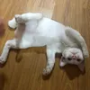 baongaznniee