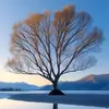 suong_gio1102
