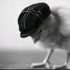 pollokey_78