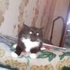 troyan_elite