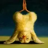 dede.depancakrutbroiler