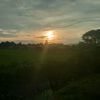 watafak_men7