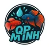 qpminh171