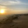 amiradini