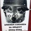 kolai29