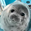jon_maakoshu