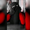 ghadashraf257