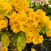 tienthanh2671