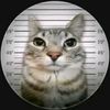 adipp_5