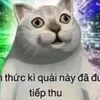 namnguchammuoichienxu