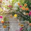 user746266133012