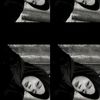 kecebong_gurun22