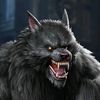 stephenwulf1