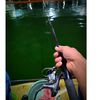 mancing_vibes.2