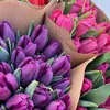 amir_161821
