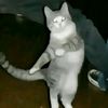 nanymenan