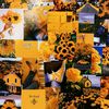 mtsonneblomtuisgebak