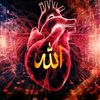 user8913663571380