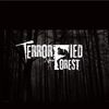 Terrorfied Forest
