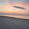 koniara_hucu