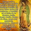 neftalopez588