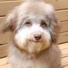 goober78908