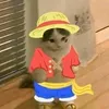arthur_gamer999