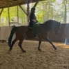 lejo_8.43.1