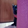 lupita_02031