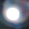 orangdalam_68