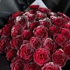 kingshifa_