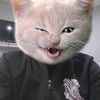 kpineda69