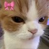 user_212805