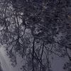 mai_s.20