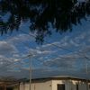 mora10qj